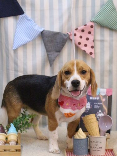 20250513ルーシーちゃん